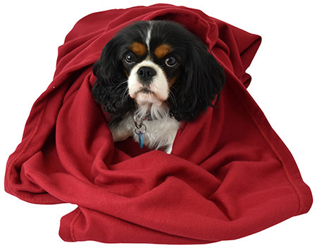 Kuscheldecke rot, 75x100cm, Premium Fleece
