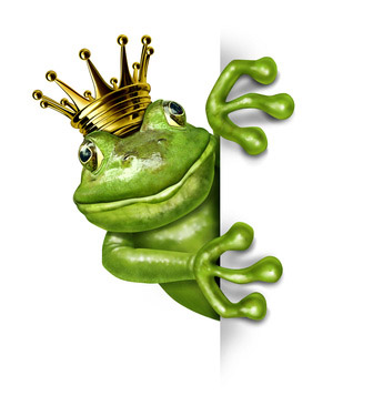 Froschkönig-Früchtetee