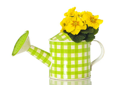 Früchtetee Frühling, 1kg