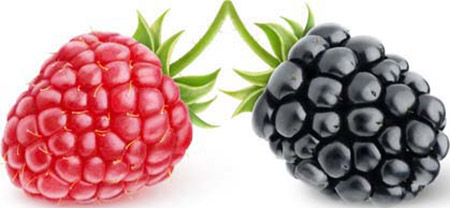 Brombeer-Himbeer-Früchtetee